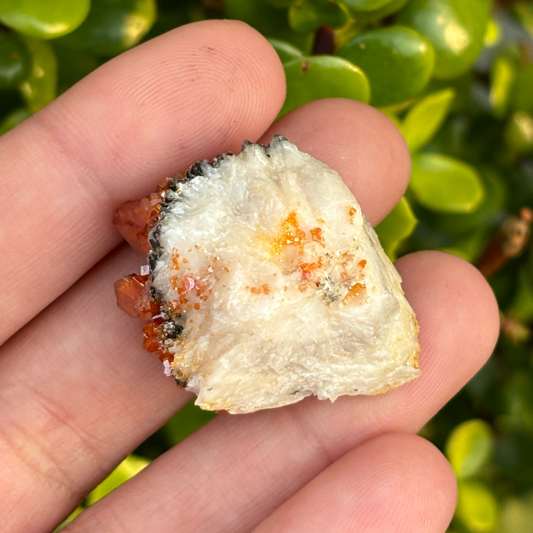 Vanadinite on Baryte Specimen - AA Grade