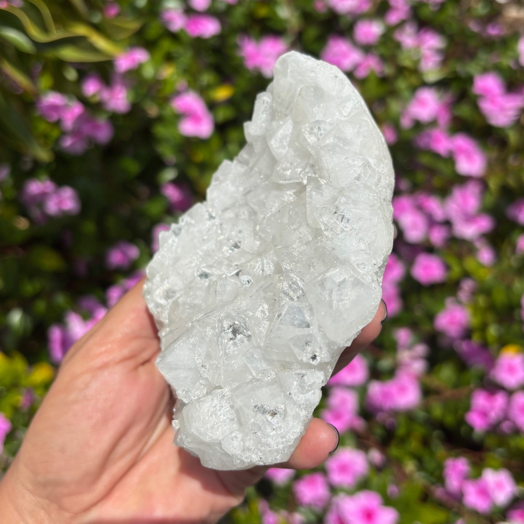 Apophyllite Cluster