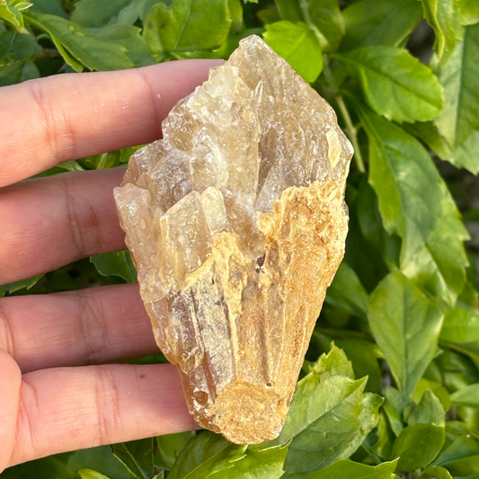 Honey Aragonite Specimen