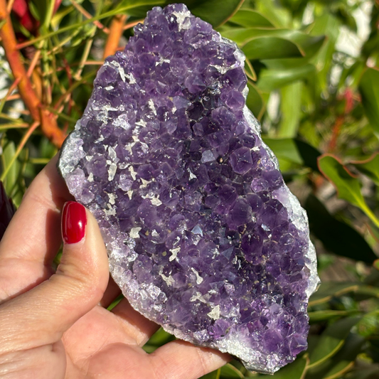 Amethyst Cluster