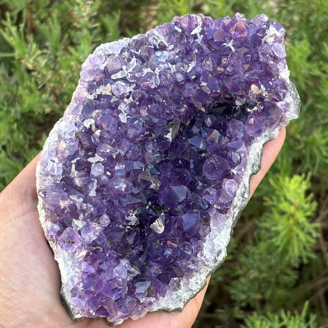 Amethyst Cluster