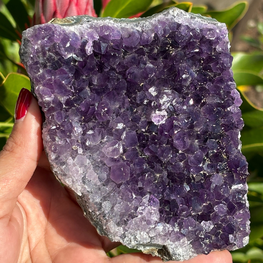 Amethyst Cluster