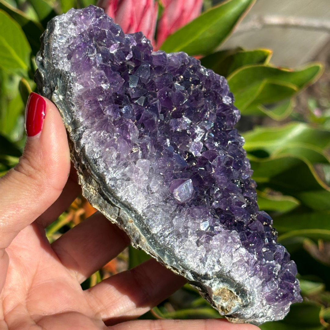 Amethyst Cluster