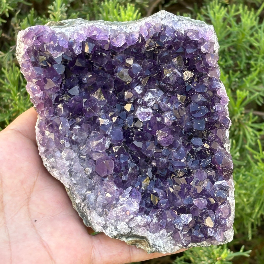 Amethyst Cluster