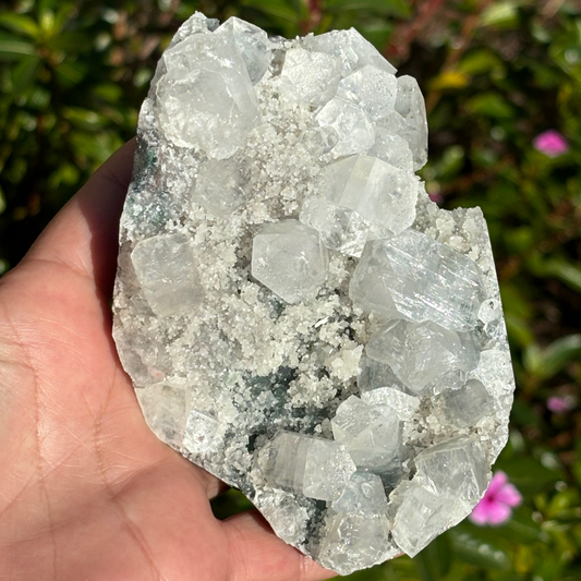 Apophyllite Cluster