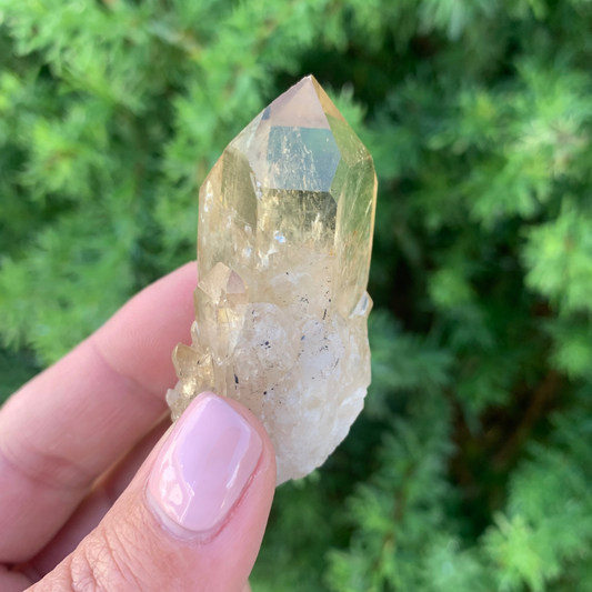 Kundalini Citrine Quartz Point - 33g