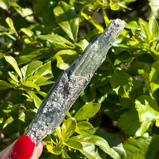 Green Kyanite Specimen