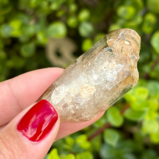 Brandberg Smoky Window Quartz Point